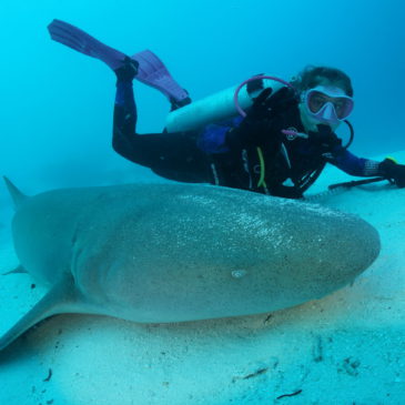 La startup de Incubazul “BUCEO CONCIENCIA” organiza una inmersión colectiva en toda España por la investigación de especies marinas