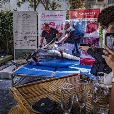 Cádiz reclama su historia como cuna de las almadrabas