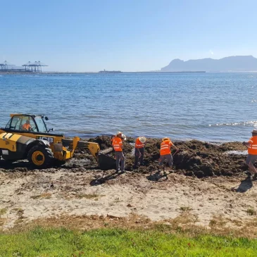 Comienzan las ‘cruzadas’ veraniegas contra el alga invasora en Cádiz